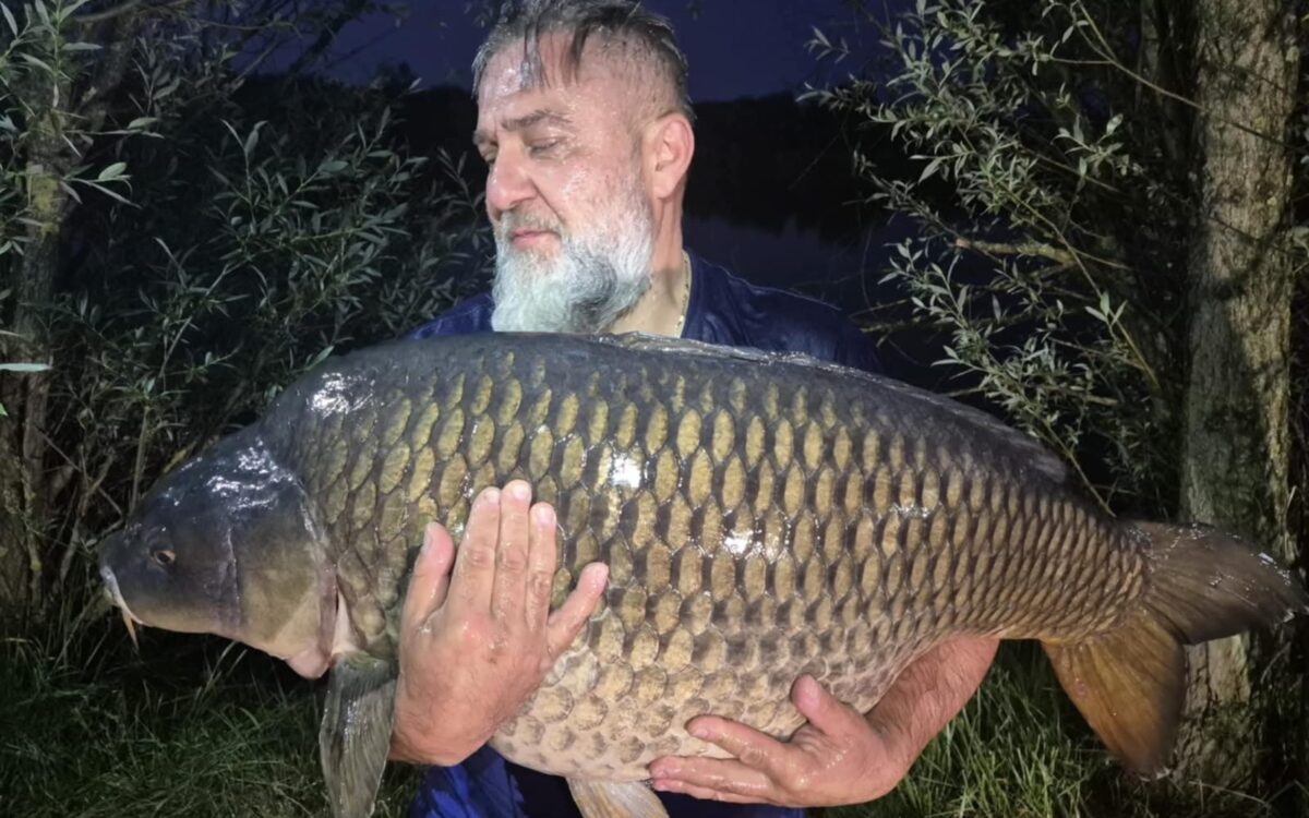 Rekordowy karp 31,600 kg złowiony na&nbsp;kulki Carp Servis Václavík Mango!