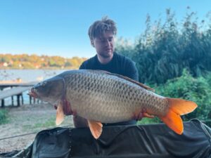 Karp 21,700 kg złowiony na kule Boss2 Szatan Carp Servis Václavík na łowisku Harsányi Horgásztó